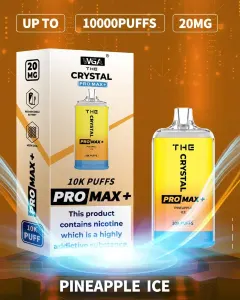 WGA Crystal Pro Max Plus 10000 Puffs 12